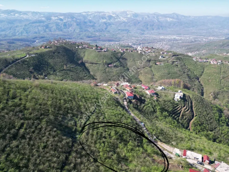 AKYAZI / M.YENİKÖY'DE SATILIK BAHÇE 2.518 m2