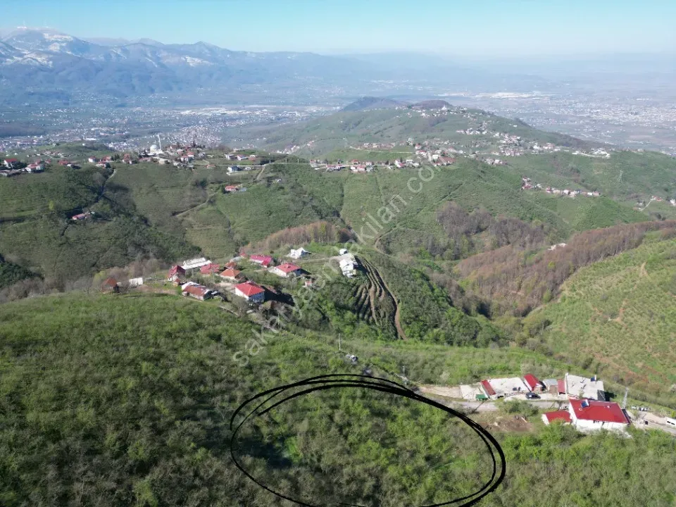 AKYAZI / M.YENİKÖY'DE SATILIK BAHÇE 2.518 m2