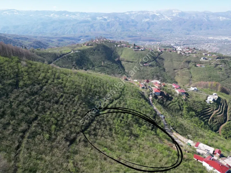 AKYAZI / M.YENİKÖY'DE SATILIK BAHÇE 2.518 m2