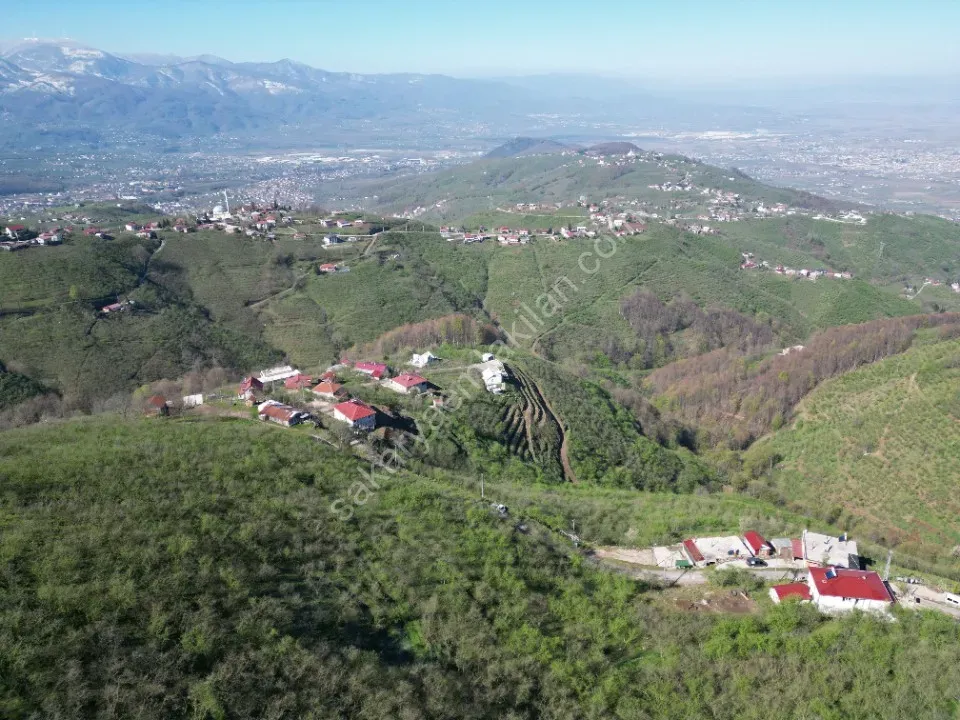 AKYAZI / M.YENİKÖY'DE SATILIK BAHÇE 2.518 m2