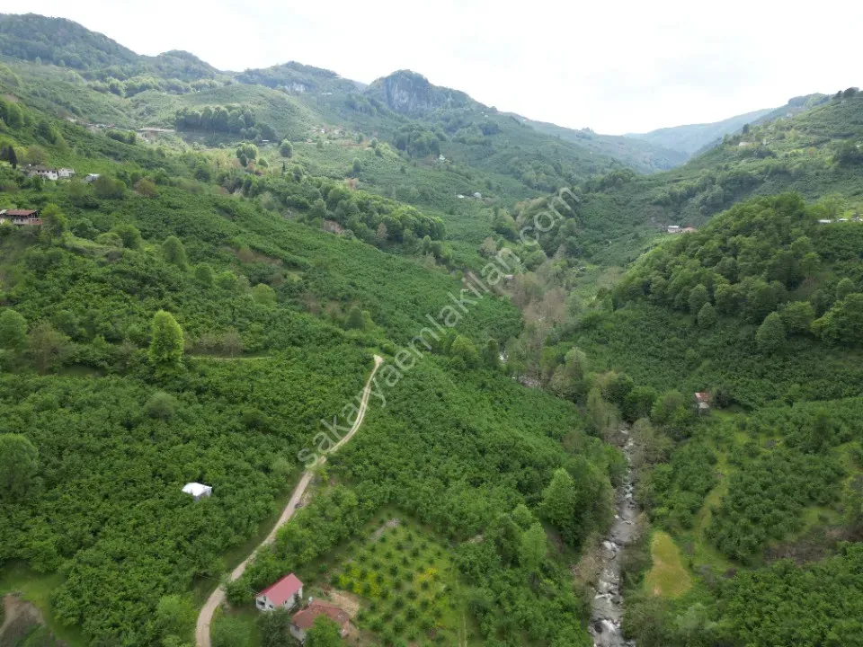 BALLIKAYA BARAJ MANZARALI SATILIK FINDIK BAHÇESİ KONUT İMARLI