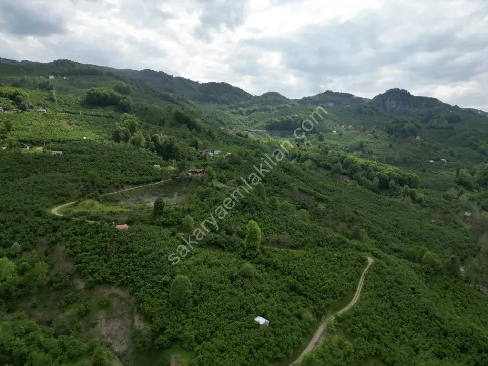 BALLIKAYA BARAJ MANZARALI SATILIK FINDIK BAHÇESİ KONUT İMARLI