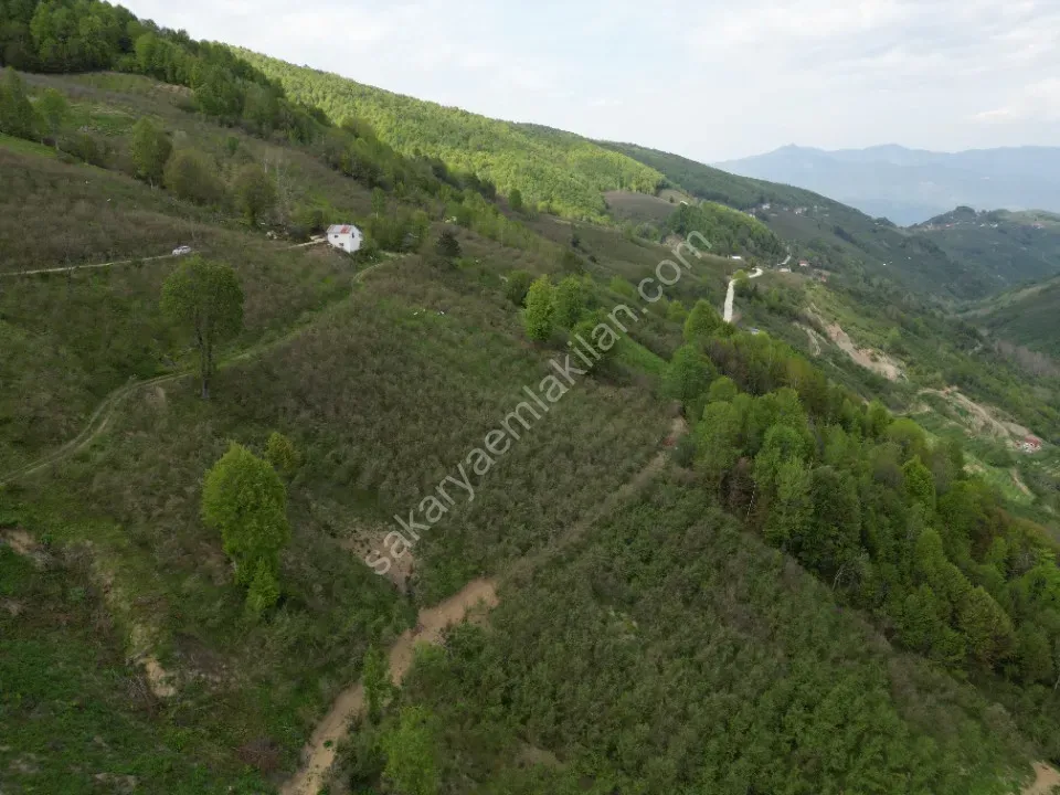 TAŞYATAK MAH. AKYAZI'DA SATILIK FINDIK BAHÇESİ 2.075 m2