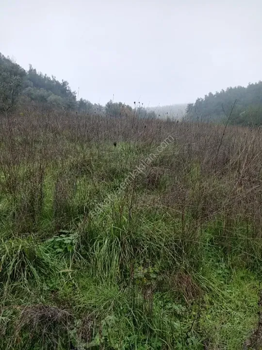 GEYVE KÖPRÜBAŞI OKUL MAH. KONTEYNER İÇİN İDEAL 730 m² MANZARALI RESMİ YOLA CEPHELİ