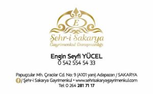 Engin Seyfi Yücel