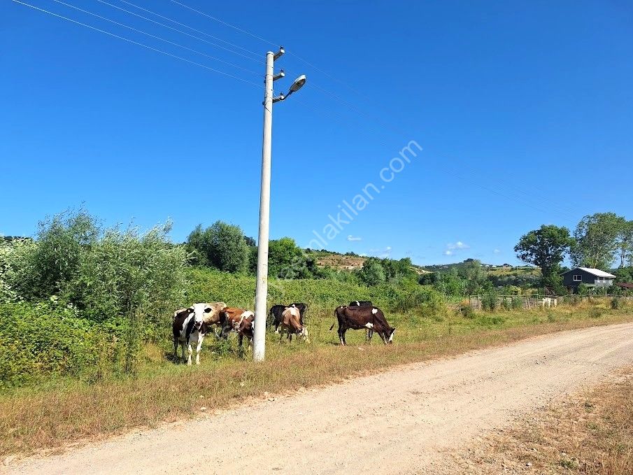 KARASU KUZULUK MAHALLESİNDE SATILIK 7.170 M2 TARLA